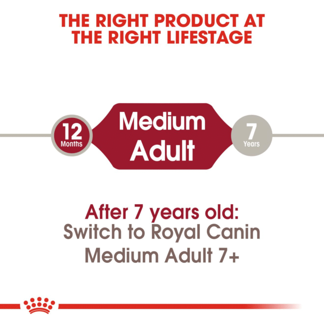 Royal Canin Medium Adult Dog Dry Food (1kg | 4kg | 10kg | 15kg) - Image 5