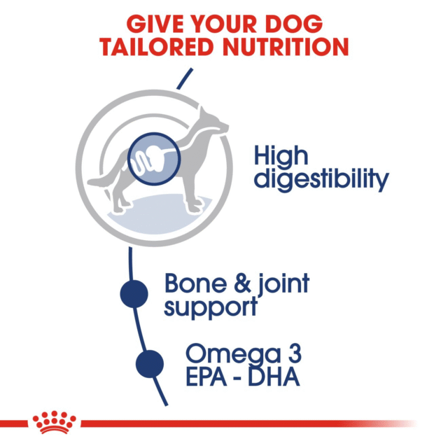 Royal Canin Maxi Adult Dog Wet Food (10x140g) - Image 5