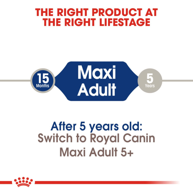 Royal Canin Maxi Adult Dog Dry Food (220g | 1kg | 2.5kg) - Image 5