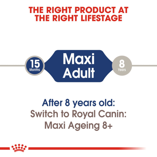 Royal Canin Maxi Adult Dog Wet Food (10x140g) - Image 6