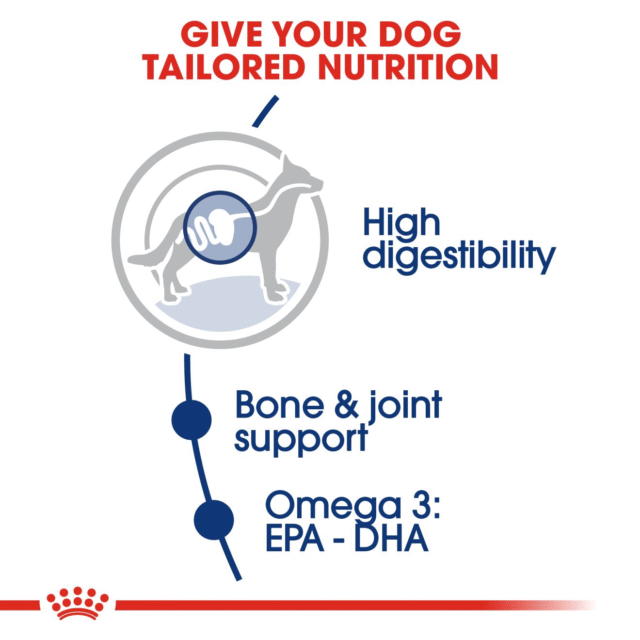 Royal Canin Maxi Adult Dog Dry Food (220g | 1kg | 2.5kg) - Image 4