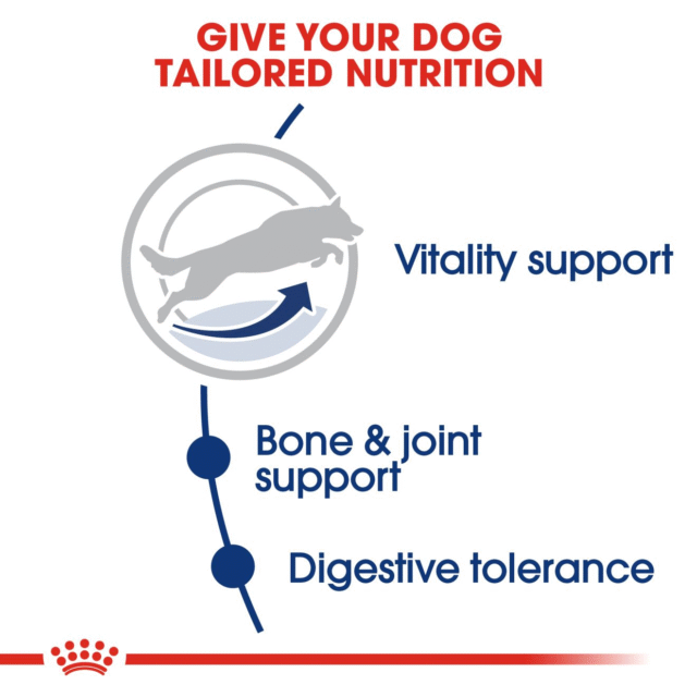 Royal Canin Maxi 5+ Adult Dog Dry Food - 4kg - Image 4
