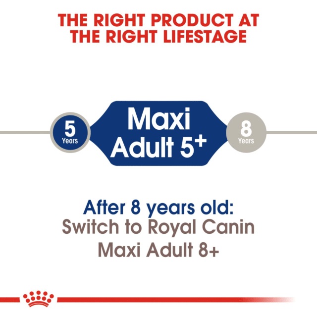 Royal Canin Maxi 5+ Adult Dog Dry Food - 4kg - Image 5