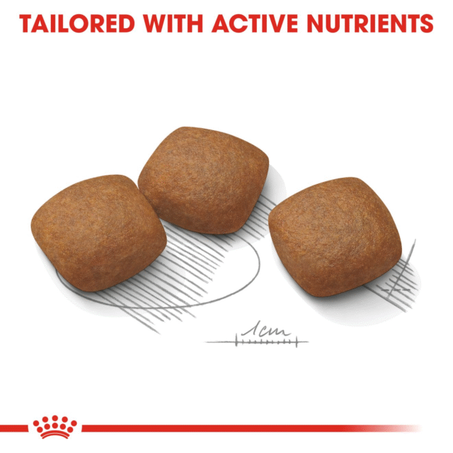 Royal Canin Maxi Joint Care Dog Dry Food - 3kg - Image 3