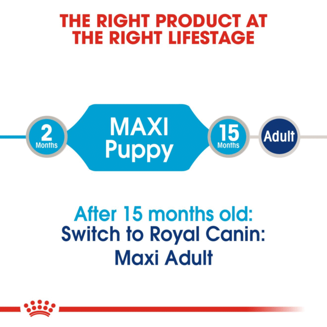 Royal Canin Maxi Puppy Dog Wet Food (10x140g) - Image 6