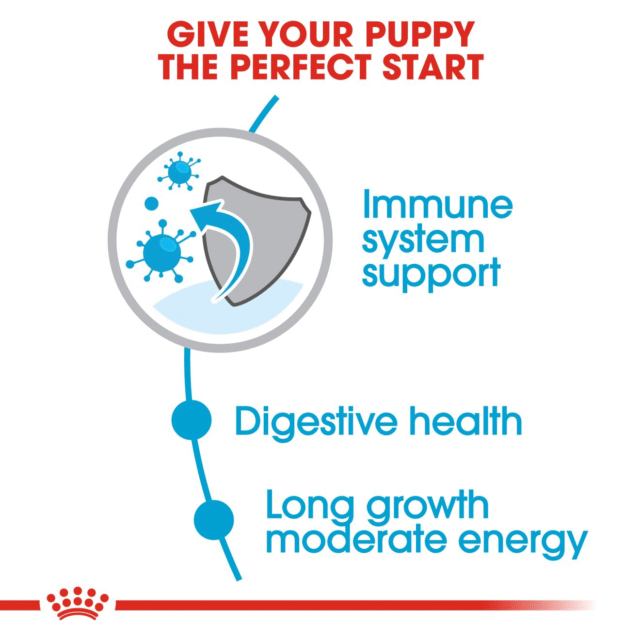 Royal Canin Maxi Puppy Dog Dry Food (4kg | 10kg | 15kg) - Image 4