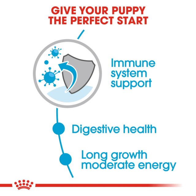 Royal Canin Maxi Puppy Dog Wet Food (10x140g) - Image 4