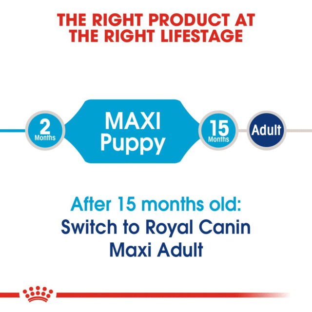 Royal Canin Maxi Puppy Dog Dry Food (4kg | 10kg | 15kg) - Image 5