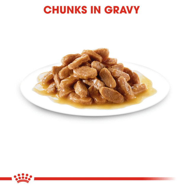 Royal Canin Maxi Puppy Dog Wet Food (10x140g) - Image 3
