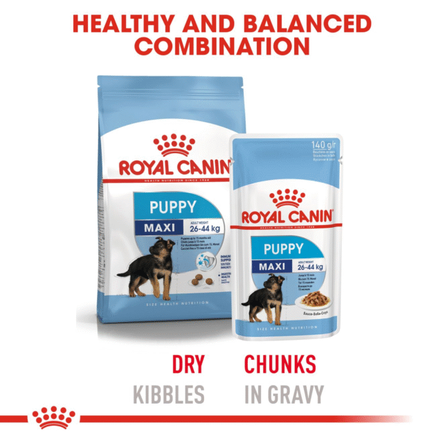 Royal Canin Maxi Puppy Dog Wet Food (10x140g) - Image 9