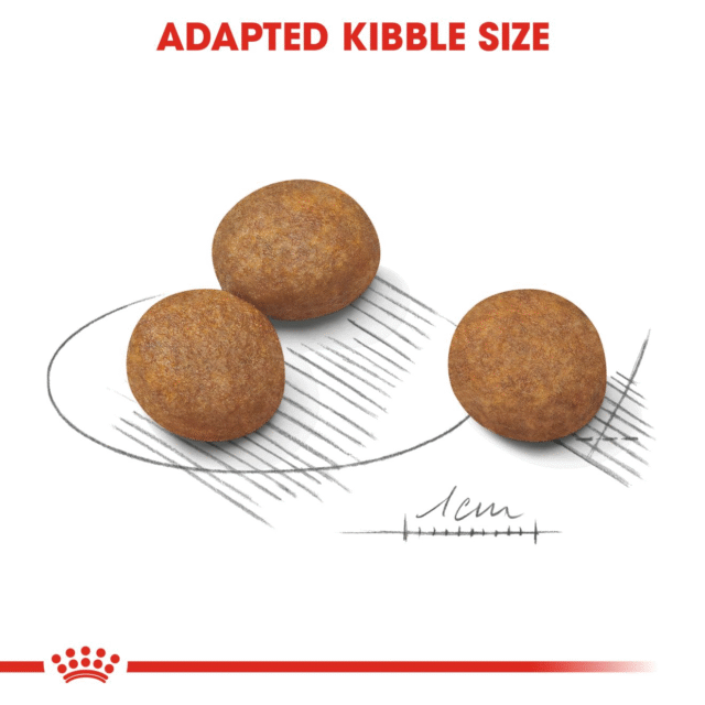 Royal Canin Maxi Puppy Dog Dry Food (4kg | 10kg | 15kg) - Image 3