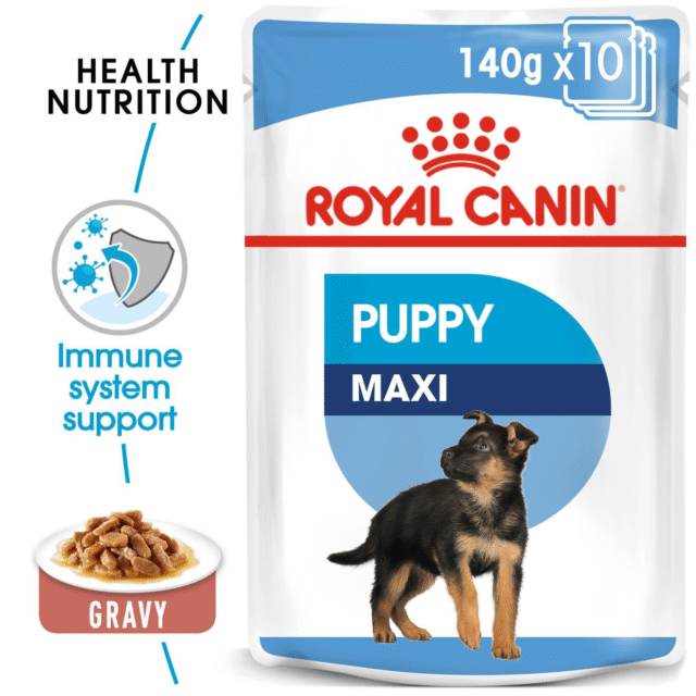 Royal Canin Maxi Puppy Dog Wet Food (10x140g) - Image 5