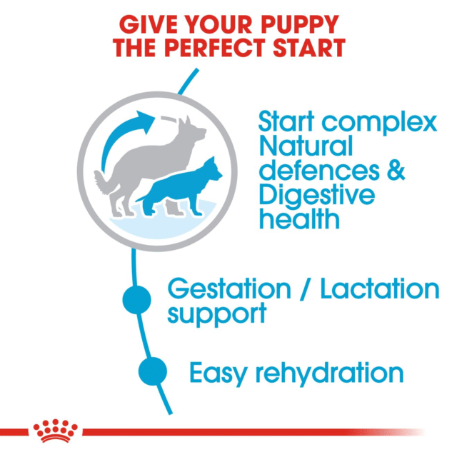Royal Canin Maxi Starter Dog Dry Food (220g | 1kg | 2.5kg) - Image 5