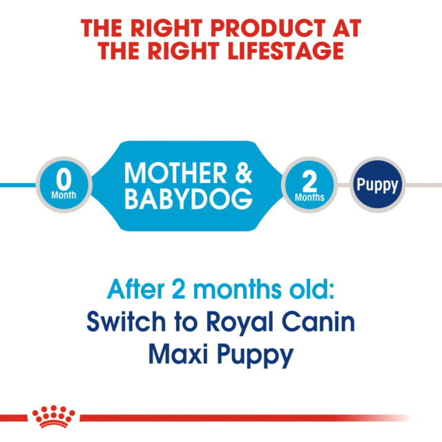 Royal Canin Maxi Starter Dog Dry Food (220g | 1kg | 2.5kg) - Image 6