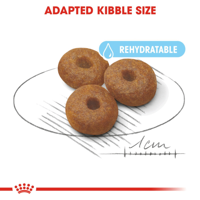 Royal Canin Maxi Starter Dog Dry Food (220g | 1kg | 2.5kg) - Image 4