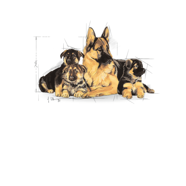 Royal Canin Maxi Starter Dog Dry Food (220g | 1kg | 2.5kg) - Image 10