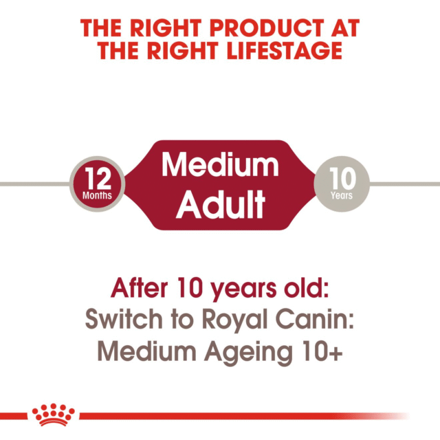 Royal Canin Medium Adult Gravy Dog Wet Food (10x140g) - Image 5