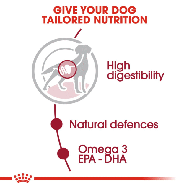 Royal Canin Medium Adult Gravy Dog Wet Food (10x140g) - Image 4