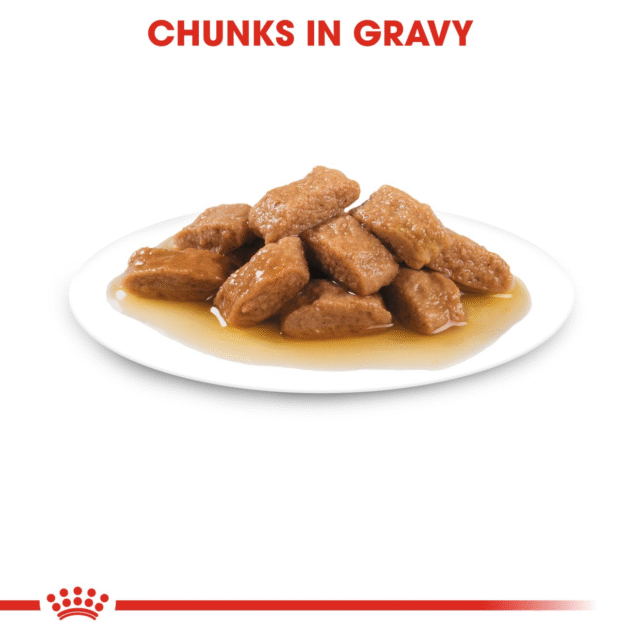 Royal Canin Medium Adult Gravy Dog Wet Food (10x140g) - Image 3
