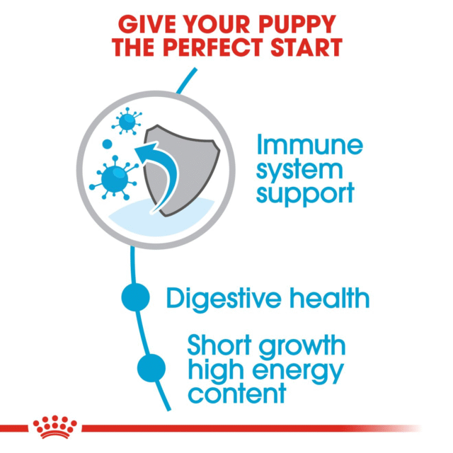 Royal Canin Medium Puppy Dog Dry Food (1kg | 4kg | 10kg | 15kg) - Image 4