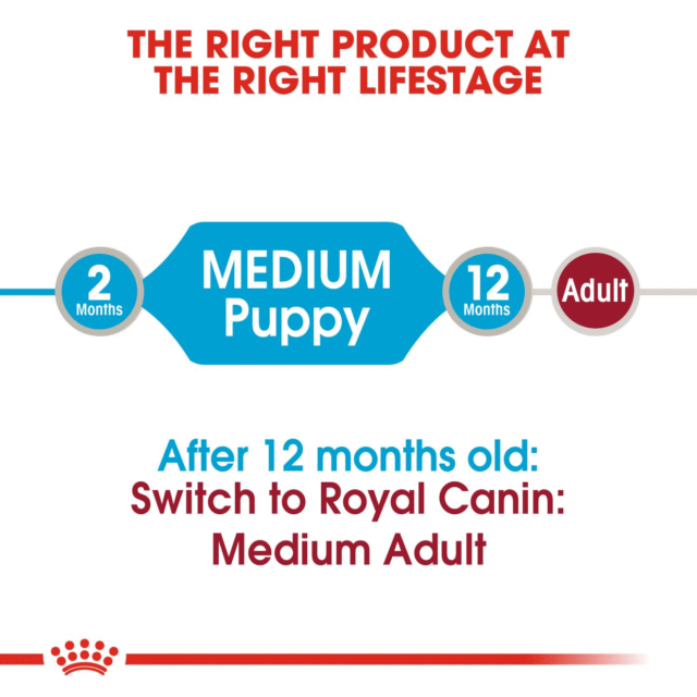 Royal Canin Medium Puppy Gravy Dog Wet Food (10x140g) - Image 5