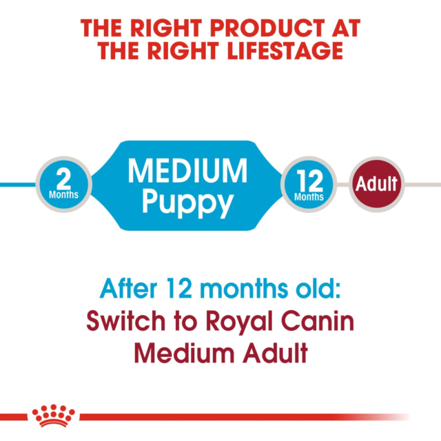Royal Canin Medium Puppy Dog Dry Food (1kg | 4kg | 10kg | 15kg) - Image 5