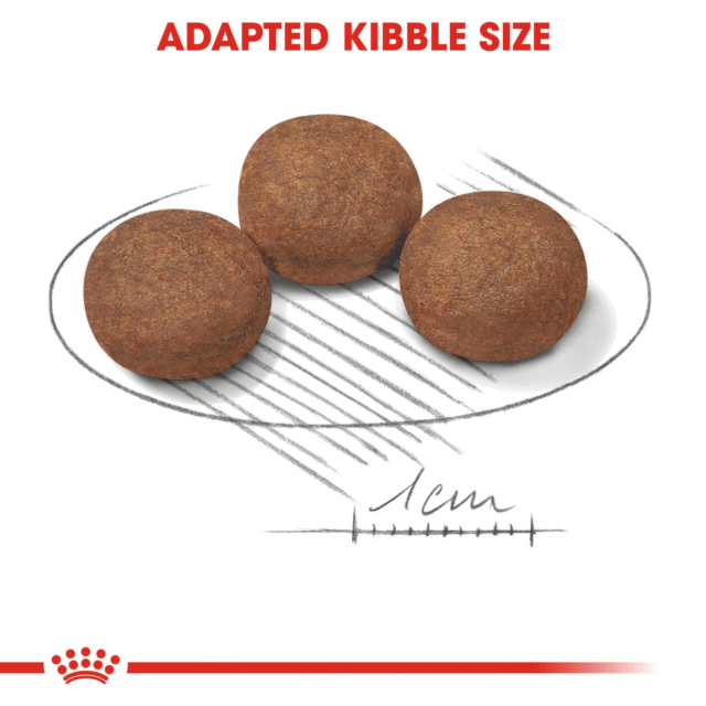Royal Canin Medium Puppy Dog Dry Food (1kg | 4kg | 10kg | 15kg) - Image 3