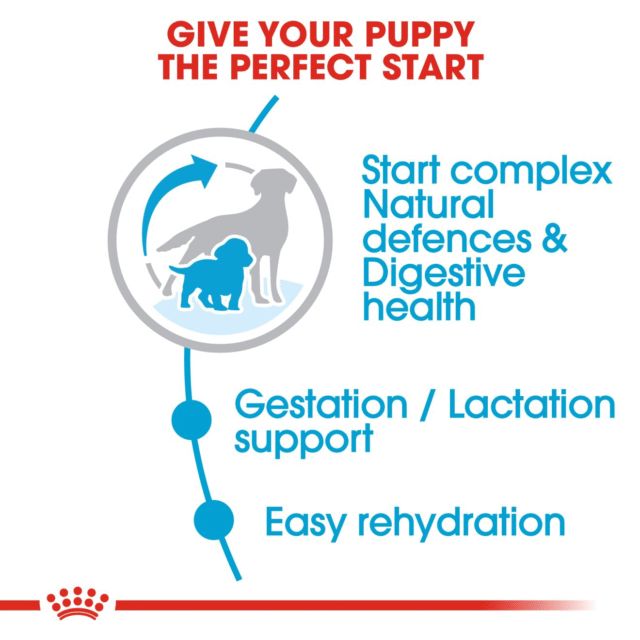 Royal Canin Medium Starter Dry Food for Medium Breed Dogs and Puppies  (1kg | 4kg | 12kg | 15kg) - Image 4