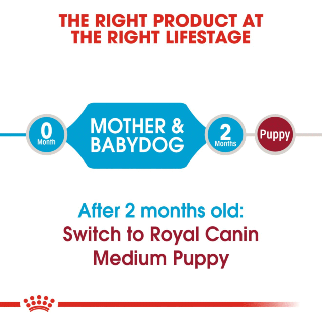 Royal Canin Medium Starter Dry Food for Medium Breed Dogs and Puppies  (1kg | 4kg | 12kg | 15kg) - Image 5