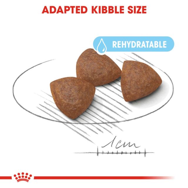 Royal Canin Medium Starter Dry Food for Medium Breed Dogs and Puppies  (1kg | 4kg | 12kg | 15kg) - Image 3