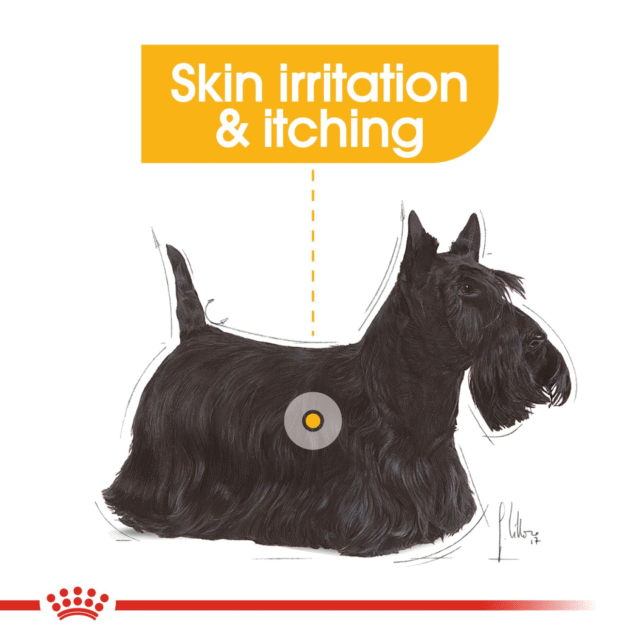 Royal Canin Mini Dermacomfort Dog Dry Food - 1kg - Image 8