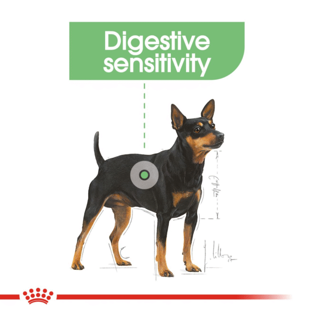 Royal Canin Maxi Digestive Care Dog Dry Food - 3kg - Image 8