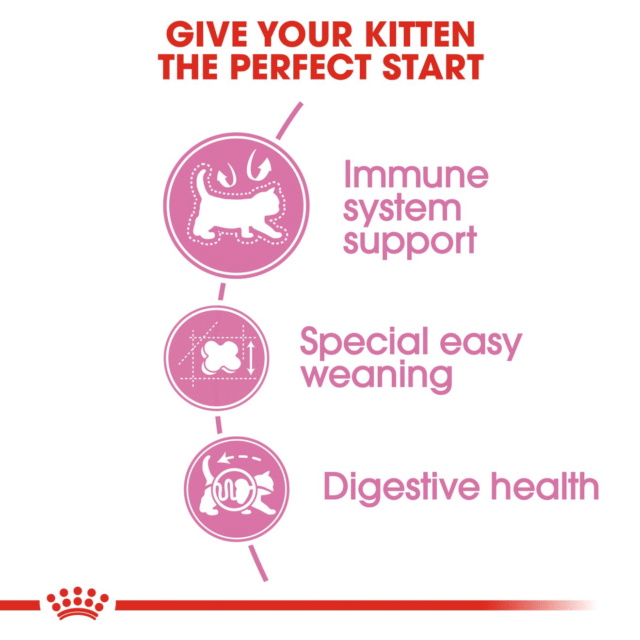Royal Canin Mother & Babycat Cat Dry Food (400g | 1.2kg | 2 kg) - Image 2