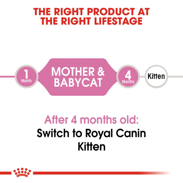 Royal Canin Mother & Babycat Cat Dry Food (400g | 1.2kg | 2 kg) - Image 4