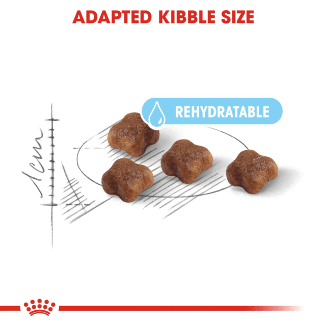 Royal Canin Mother & Babycat Cat Dry Food (400g | 1.2kg | 2 kg) - Image 3