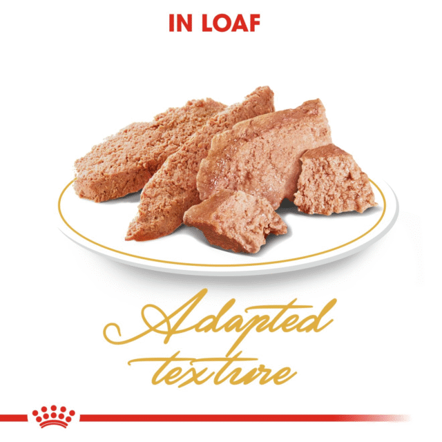 Royal Canin Persian Adult Loaf Cat Wet Food - Image 3