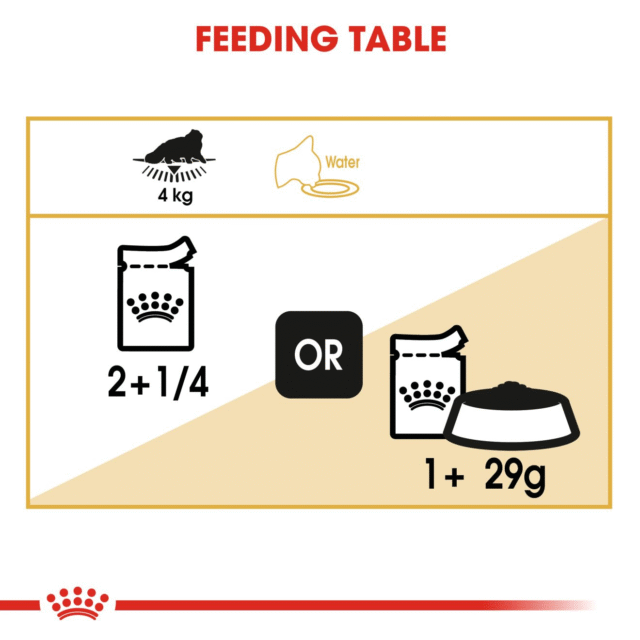 Royal Canin Persian Adult Loaf Cat Wet Food - Image 6
