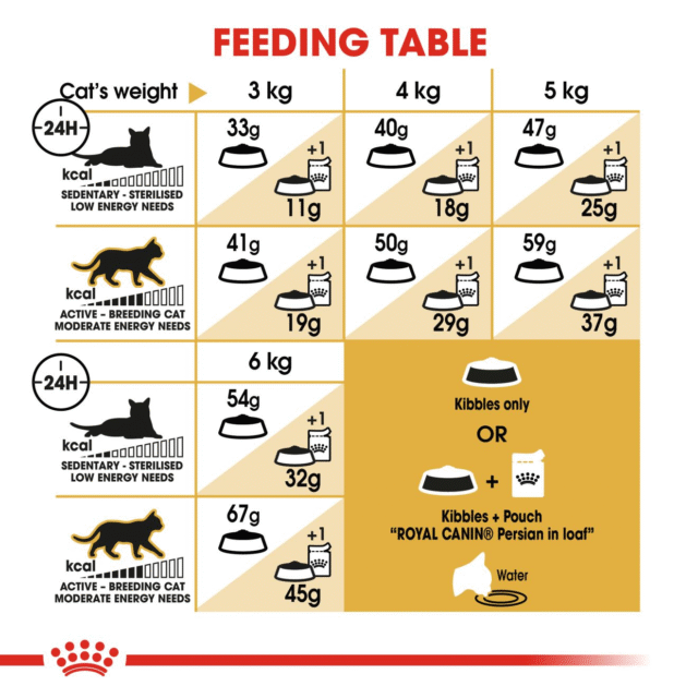 Royal Canin Persian Adult Cat Dry Food (400g | 1kg | 2kg) - Image 6