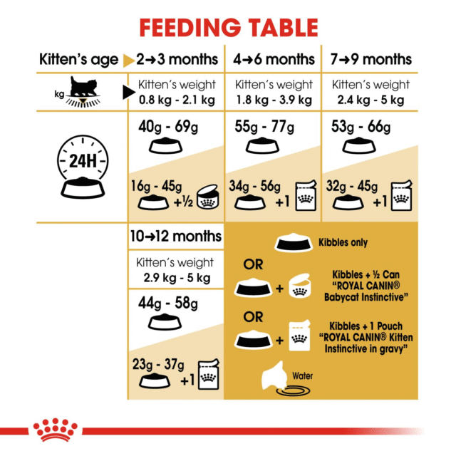 Royal Canin Persian Kitten Cat Dry Food (4kg | 10kg) - Image 6