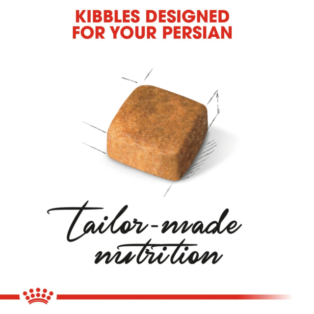 Royal Canin Persian Kitten Cat Dry Food (4kg | 10kg) - Image 3