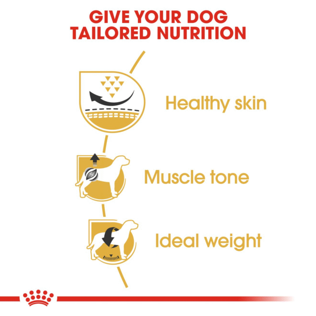 Royal Canin Pug Adult Dog Dry Food (500g | 1.5kg | 3kg | 7.5kg) - Image 4