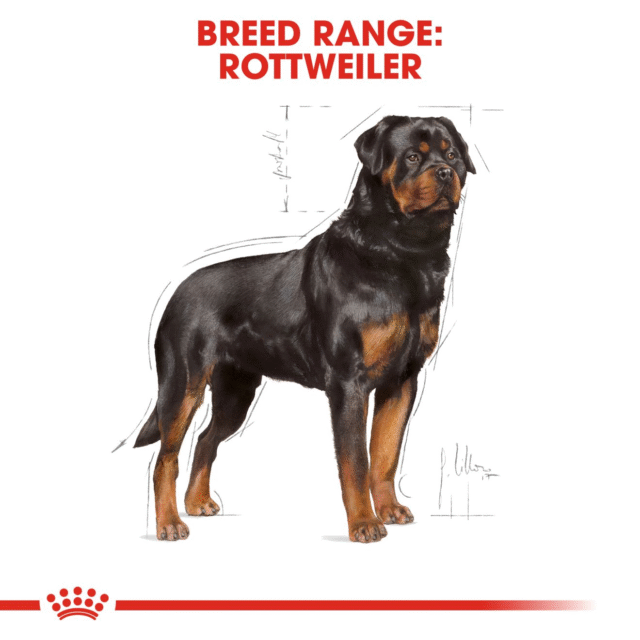Royal Canin Rottweiler Adult Dog Dry Food (3kg | 12kg) - Image 7