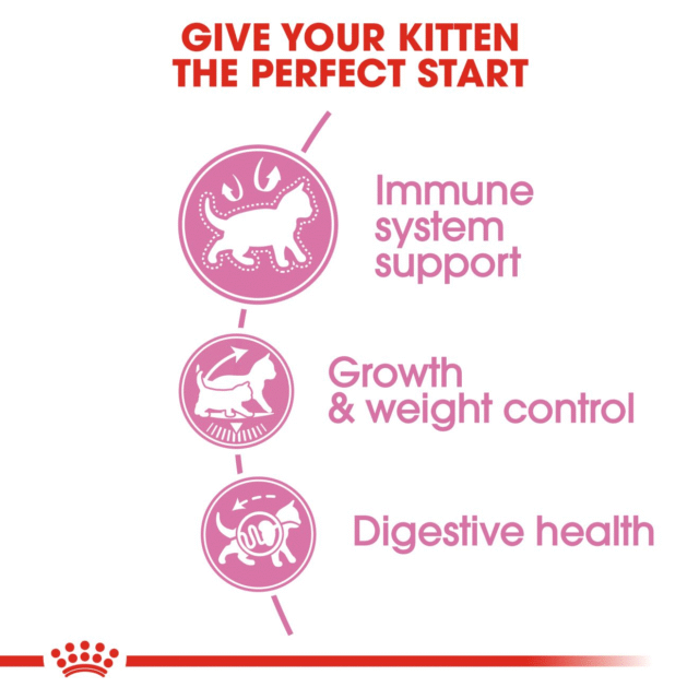 Royal Canin Kitten Sterilised (400g | 2kg) - Image 4