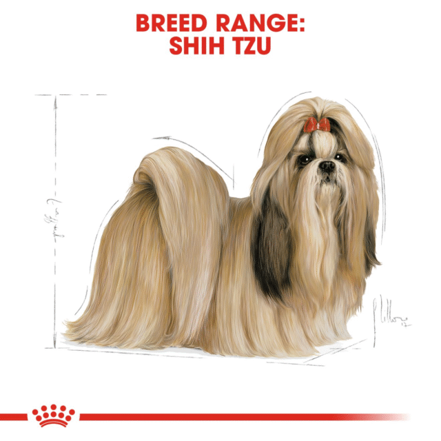 Royal Canin Shih Tzu Adult Dog Dry Food (500g | 1.5kg | 3kg) - Image 6
